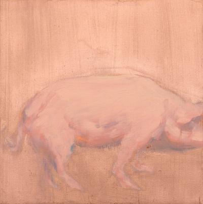 Schwein, 2021, Öl auf Leinwand, 20 x 20 cm