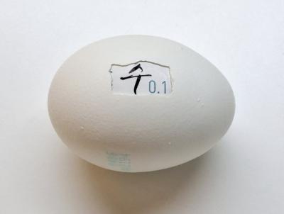 New Proteins (Strange but all Ours), 0.1, 2025, Eierschale, gefundene Verpackung, Mischtechnik