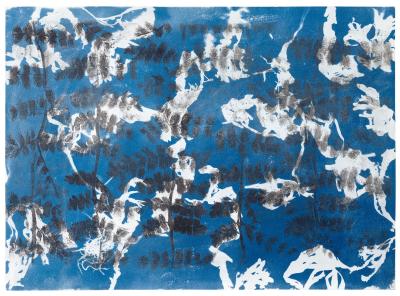 Synapsen wachsen II, 2026, Cyanotypie auf Lithografie, 42 x 60 cm