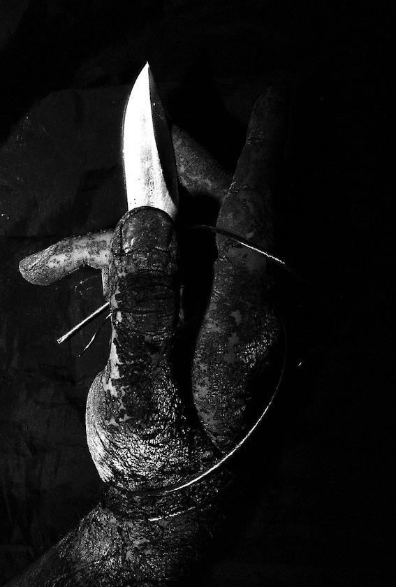 O.T., 2006, S/W Fotografie auf Alu Dibond, 50 x 40 cm