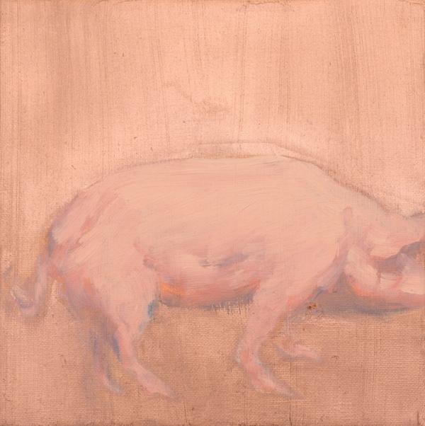 Schwein, 2021, Öl auf Leinwand, 20 x 20 cm