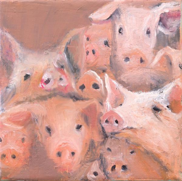 Schweinerei, 2021, Öl auf Leinwand, 20 x 20 cm