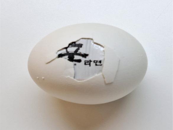 New Proteins (Strange but all Ours), Asia 1, 2025, Eierschale, gefundene Verpackung, Mischtechnik