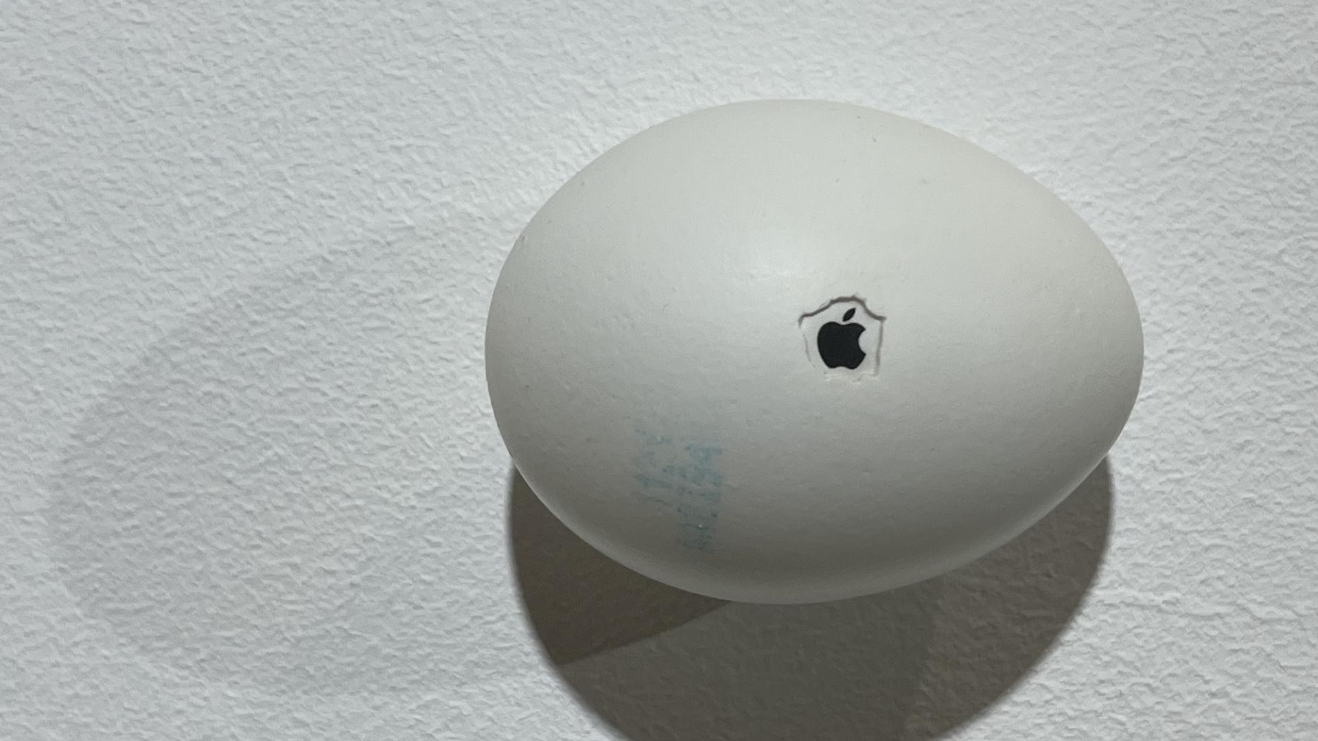 New Proteins_Strange but all Ours, Apple 2, 2025, Eierschale, gefundene Verpackung, Mischtechnik